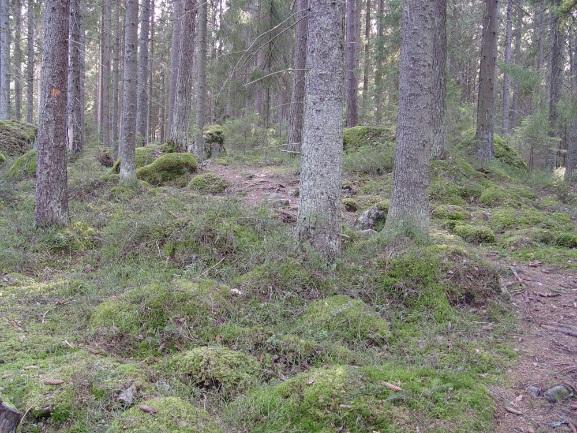 3 UTGÅNGSPUNKTER 3.1 Utredning om förhållandena i planeringsområdet 3.1.1 Allmän beskrivning av området Planområdet är beläget 10 km sydost om Borgå centrum. Planområdet är omkring 4,4 ha stort.