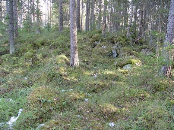 Jordmånen är mycket stenig och på stora områden ligger det sten vid sten. Även större flyttblock finns i området. Berget är i dagen på många ställen. På de bergigare, kargare områdena växer tallskog.