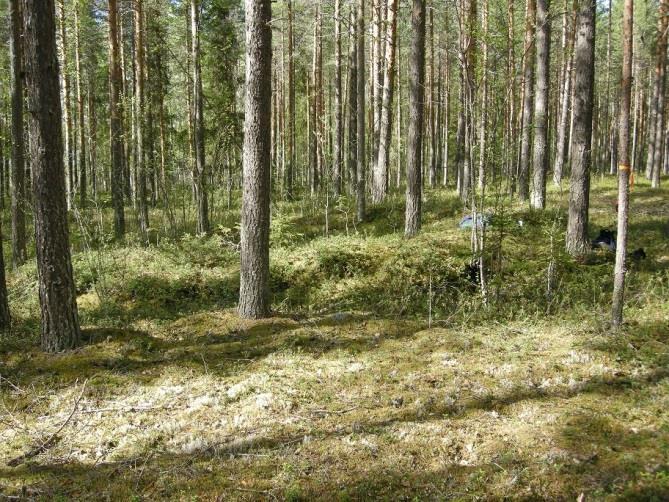 Tjärdalen Raä 353:1 har kompletterats med ytterligare lämningar.