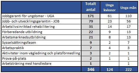 9 Andelen unga män i garantiprogrammen stiger relativt unga kvinnor ju längre ungdomarna deltagit i insatser. I UGA var andelen män 64 % i JOB 71 % och i Sysselsättningsfasen 78 %.