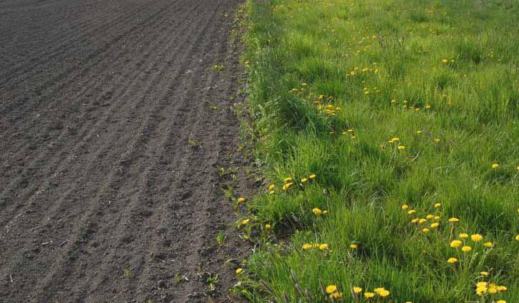 Bibostäder ger bättre pollinering på din gård I projektet Mångfald på slätten initierar, demonstrerar och sprider vi kunskap om åtgärder som ökar den biologiska mångfalden på den svenska slättbygden.