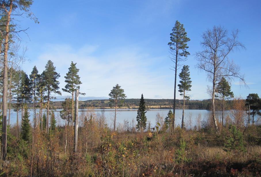 Geotekniska förhållanden Förutom de öppna myrarna är markbeskaffenheten fast och väl lämpad för bebyggelse. Jordarna i planområdet består enligt SGU:s jordartskarta av kullig morän.
