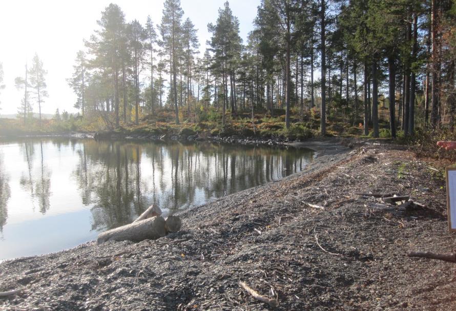 tomterna tillåts en byggnadsarea på 240 kvm. Samlingslokal, båtuthyrning, badplats, bastu, grillplats Inom den centrala delen tillskapas utrymme för en mindre samlingslokal för området.