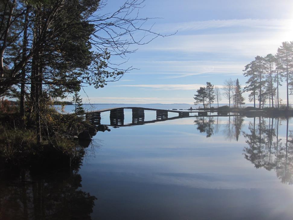 Natur, friytor, stigar mm Området kring lagunen bibehålls som ett sammanhållet naturområde beläget utanför själva planområdet.