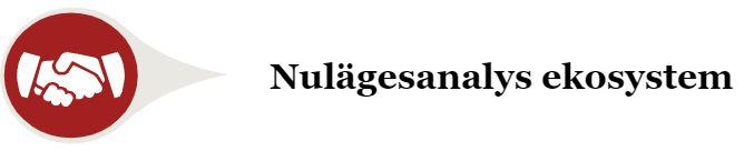 Framgångsfaktorer för lyckad transformation Analysera och förstå verksamhetens nuläge för respektive ekosystem