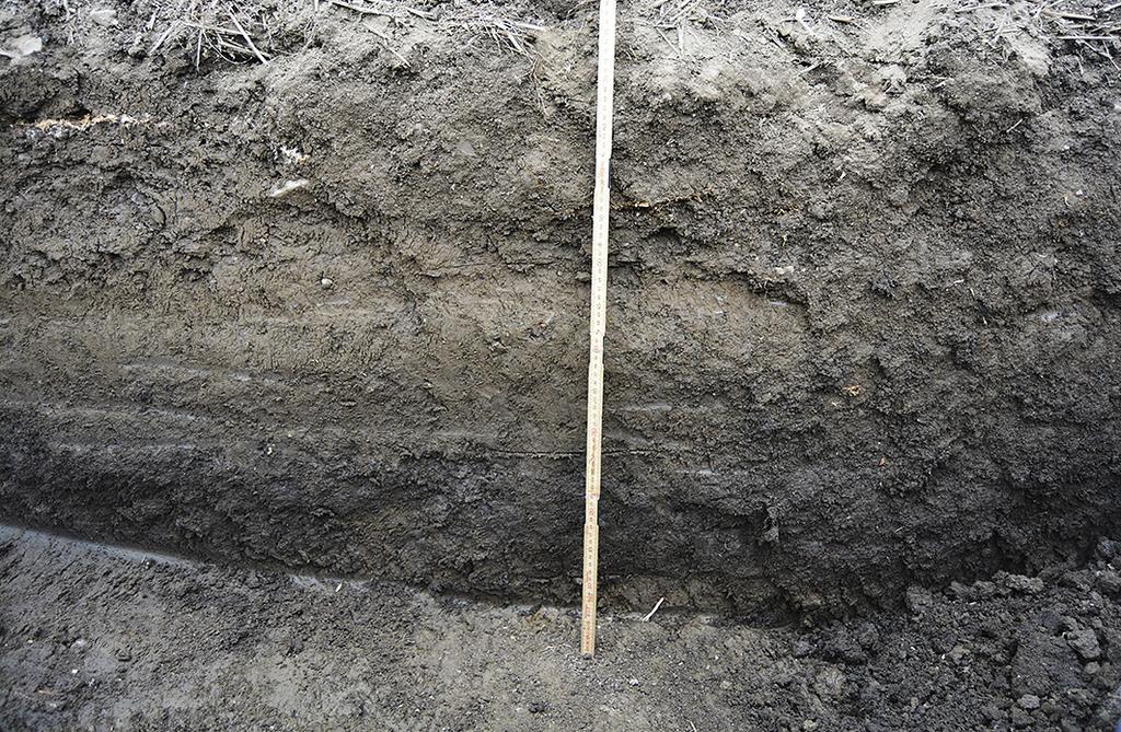 Schakten grävdes ned till anläggnings-/kulturlagernivå alternativt ned till antropogent opåverkade marklager. Schakt och anläggningar mättes in med RTK-gps och beskrevs i text.