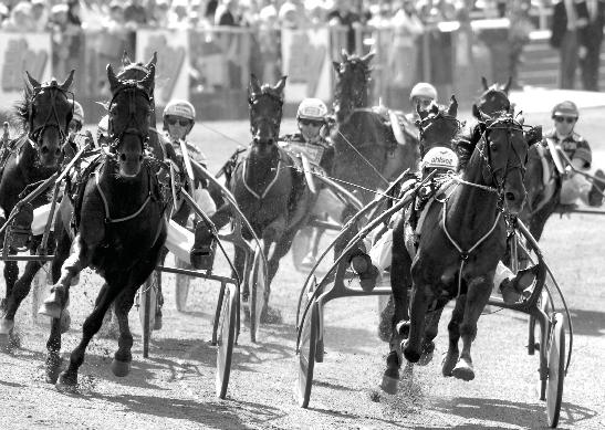 Start : Bankod 0 ODDS TVILLING fm reklam // Klass II, Försök i Meeting (Final Solvalla novemer) PLATS -åriga och äldre svska 00.00-0.000 kr. 0 m. Autostart. Pris:.000-.