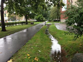 Genom att omhänderta och avleda dagvattnet från de nytillkomna ytorna i öppna dagvattenstråk kan ändå en fördröjande och säker dagvattenhantering ordnas.