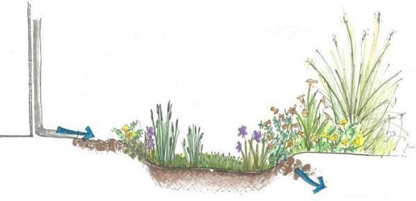 10 EXEMPEL PÅ ÖVRIGA LÖSNINGAR FÖR DAGVATTENHANTERINGEN 10.1.1 Rain Gardens/Biofilter Rain Gardens/biofilter är en genomsläpplig nedsänkt växtbädd som används för att infiltrera dagvatten från närliggande ytor som vägar och parkeringar.