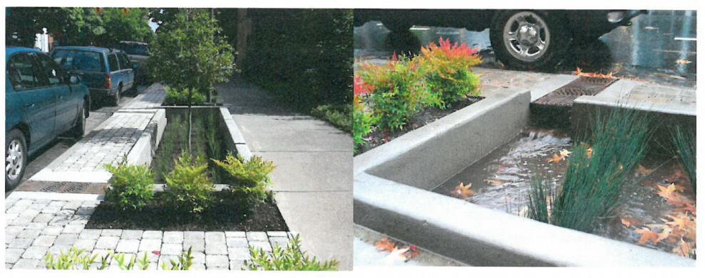 Figur 21 - Rain Gardens i anslutning till lokalgata, (Dagvattenseminarie, exempel från Portland i USA, Stockholm 2012