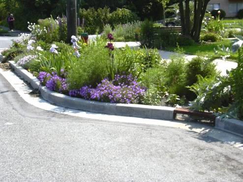 Figur 22 - Rain Gardens vid torrtillfälle och regntillfälle i anslutning till trottoar och gatuparkering, (Neptunigatan