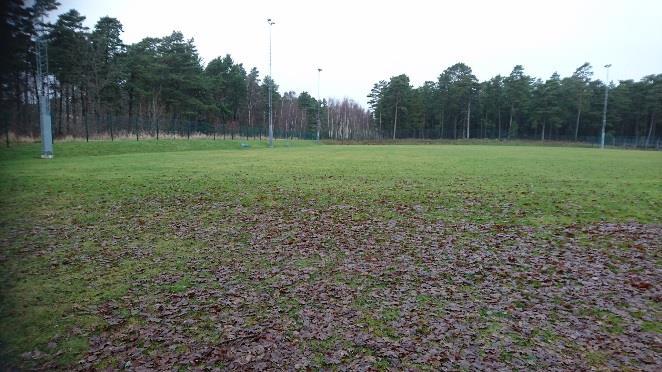 grönytor och skog. Planområdet inrymmer även flera parkeringsytor och interna körbanor för såväl motortrafik som gång- och cykeltrafik vilket medför att andelen hårdgjorda ytor är förhållandevis stor.