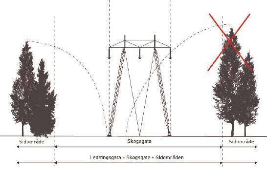 21 markbehovet av den yta som stolparna och eventuella stag tar i anspråk. I skogsmark krävs en ledningsgata som är fri från högväxande träd- och buskvegetation.