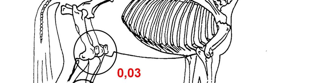 Heratibility of OCD Lina Jönsson et al. 2010 OC total: 0.13 Many significant QTL:s 0.09 0.