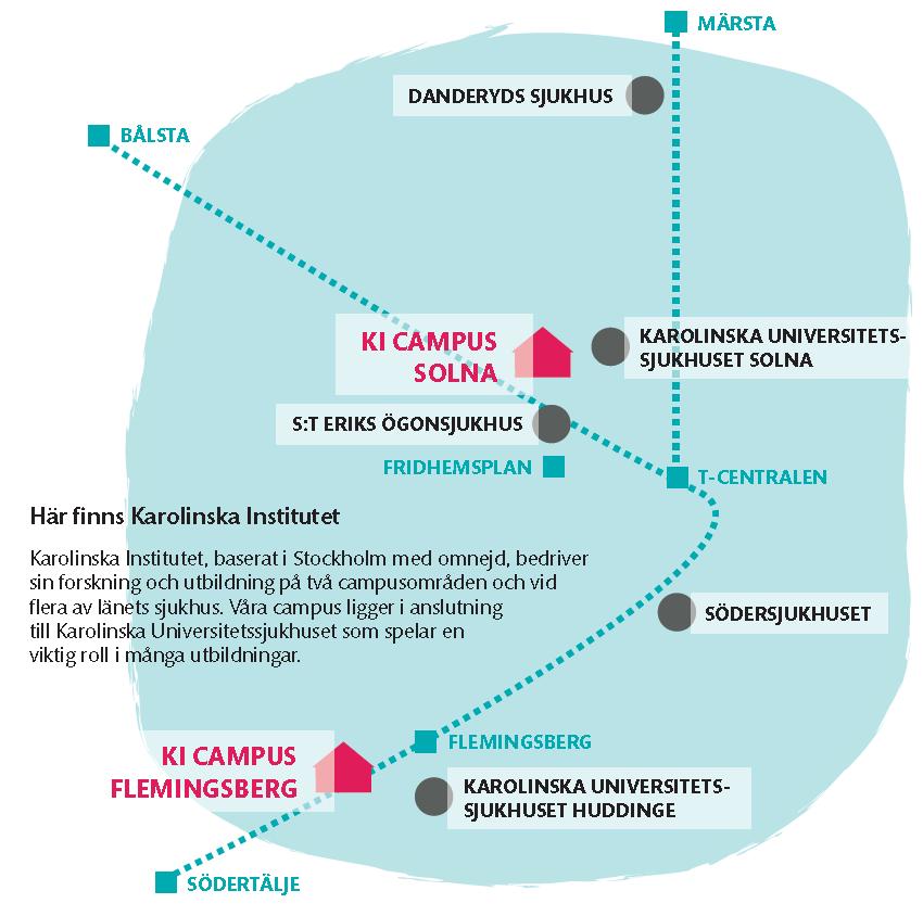 Disposition Karolinska Institutet Macchiarini m.