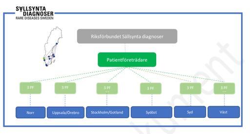 Uppdragsbeskrivning Patientföreträdare finns knutna till riksförbundets 6 regionala nätverk och fungerar som stöd för det arbete som pågår för att förbättra vården för sällsynta diagnoser.