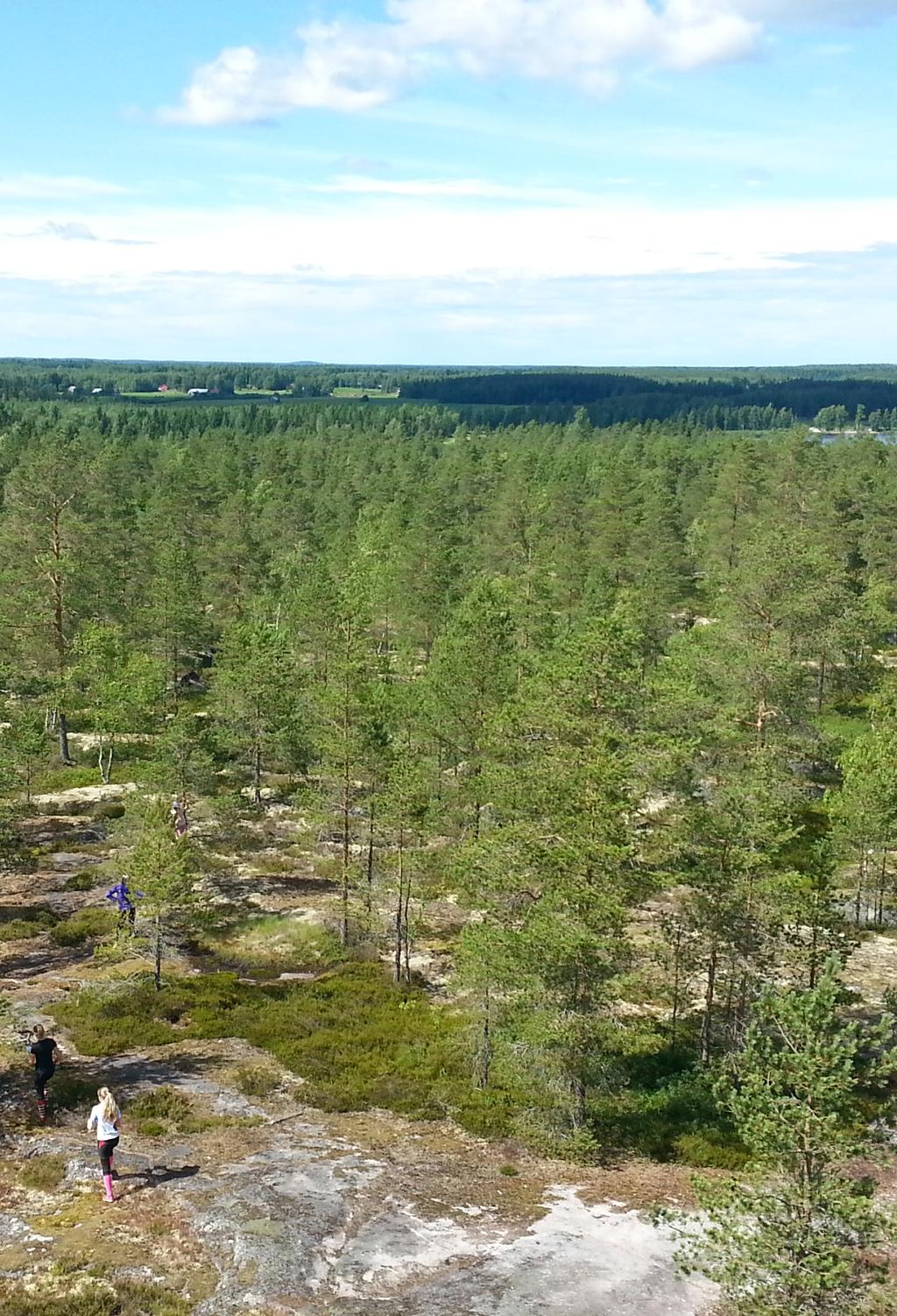 M E N TA L T R Ä N I N G Mental träning i finlandssvenska orienteringsföreningar Resultatet av den undersökning som skickades till 22 finlandssvenska orienteringsföreningar visar att fyra av tio