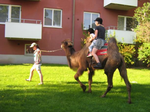 dans Stort TACK till alla som kom och hjälpte till att göra vår föreningsdag