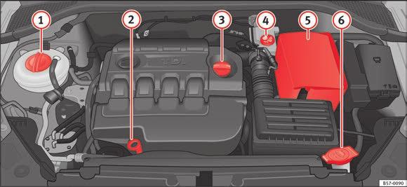 Tips Motorrum Avläsa nivåer De olika vätskorna i fordonet måste kontrolleras då och då. Fyll aldrig på med felaktiga vätskor, annars kan motorn skadas allvarligt.