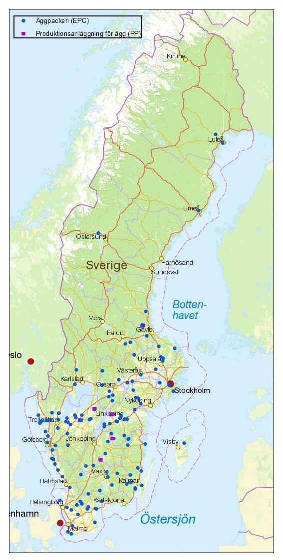 1.6 Packeriledet Under 216 fanns det 126 godkända äggpackerier i Sverige enligt Livsmedelsverkets förteckning på webbsidan.