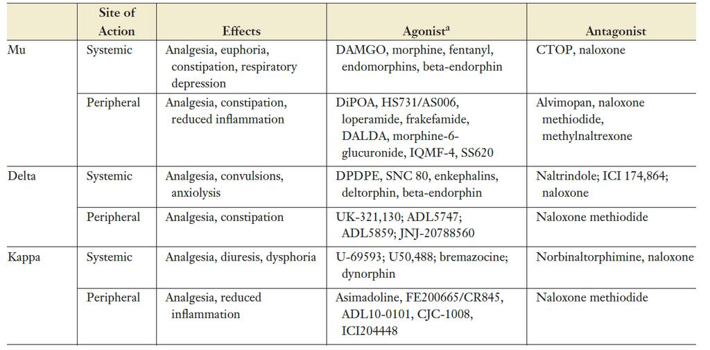 Opioidreceptorer Opoid receptors.