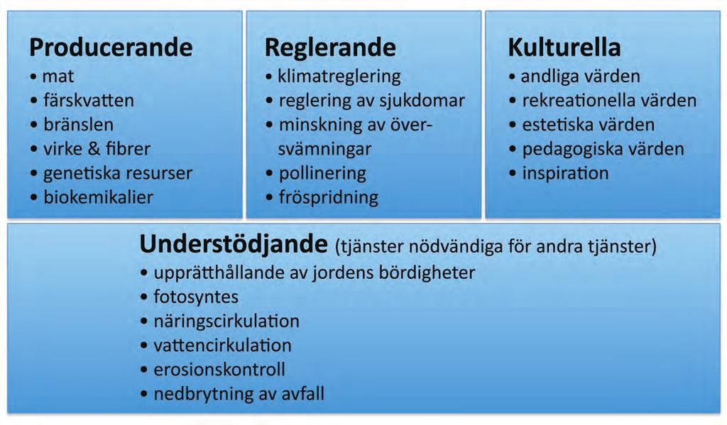 Ekosystemtjänster