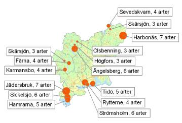 Antalet påträffade arter per lokal varierar mellan 3 och 7 (figur 8).