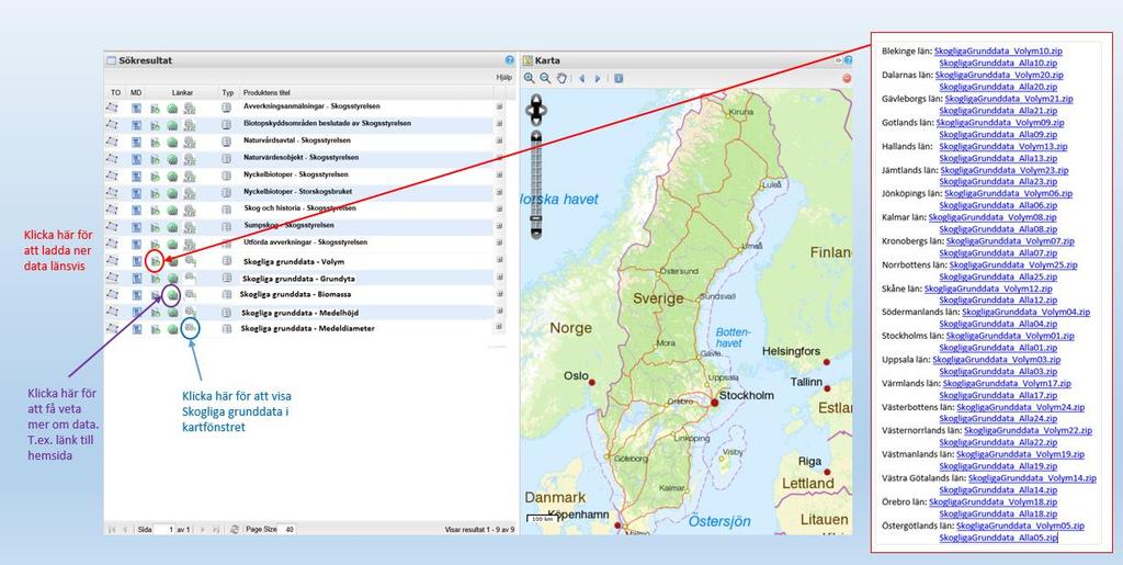 Nedladdning av hela län - exempel på hur det skulle kunna se ut i Skogsdataportalen http://skogsdataportalen.