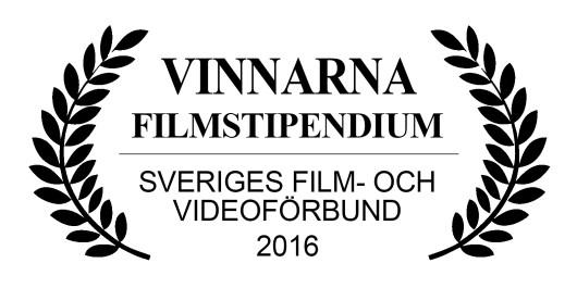 Syftet med stipendiet är att gynna filmare spridda över hela landet och med varierad bakgrund. Dessutom kräver stipendierna ingen annan finansiering, ett krav som annan stöd till film ofta har.