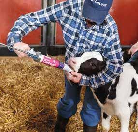 . Ett tillskott tillverkat av naturligt kol Feedtech Carbogel KALVAR MED GOD HÄLSA och bra tillväxt ger friska