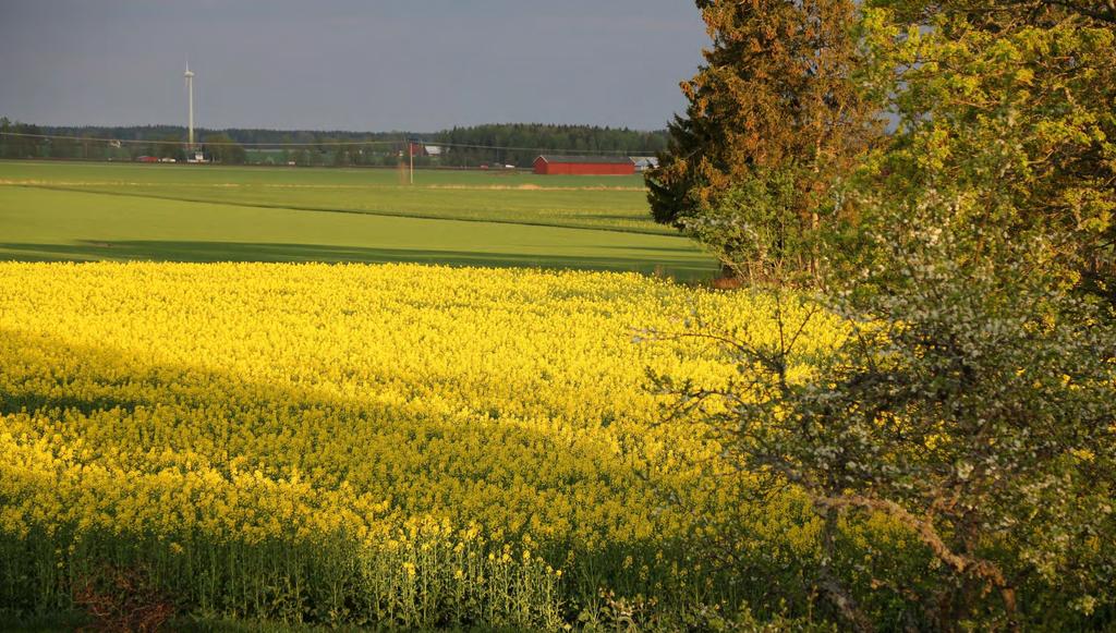 Gröna Klustret Dalsland