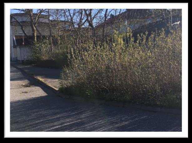 Klipp ner buskagen kraftigt eller ta bort dem helt. Se över möjligheterna att utöka området ner mot Färgaregatan. Se stycke 8.