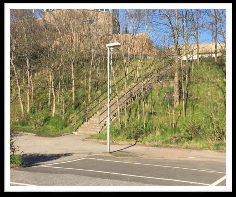 Gullmarsborg. Röja i slänten omkring trappan på sly för att skapa en öppnare plats.