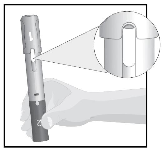 STEG 3 Områden för injicering Välj ett injektionsställe: På framsidan av dina lår eller Din mage minst 5 cm från din navel Minst 3 cm från ditt senaste injektionsställe Torka av injektionsstället med