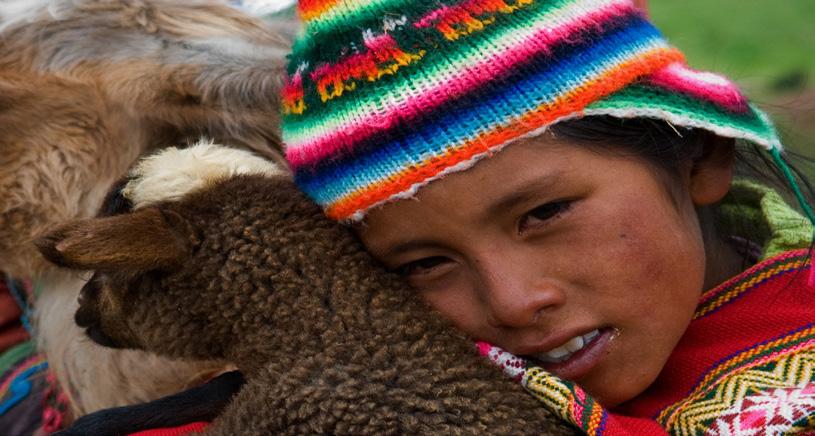 Lokala turer och aktiviteter: Lima stadsrundtur Lima stadsrundtur Arequipa stadsrundtur 2 dagars Colca Canyon tur Heldagstur på Lake Titicaca Cuzco stadsrundtur Inka folkets Heliga dal tur (Sacred