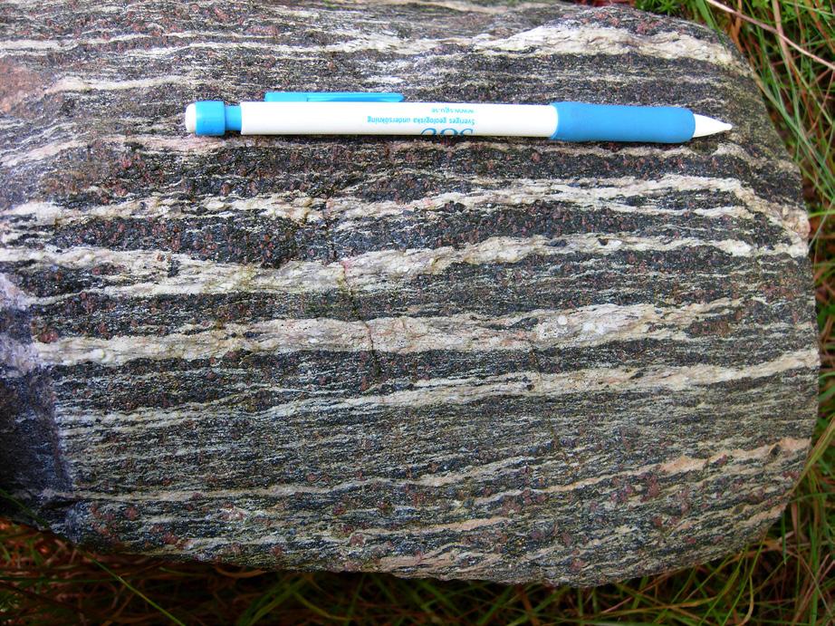 Gnejserna kan indelas deskriptivt i två grupper: den mest vanliga, rödgrå till grå med granodioritisk sammansättning, och gråröd till röd med granitisk sammansättning.