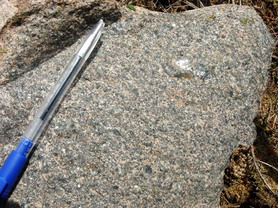 sammansättning är mer vanlig än granodioritisk, och den är ofta porfyrisk, se figur 15. Graniterna kan innehålla höga halter av glimmermineralet muskovit.