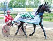 Det är teamet i mitt stall och redd som gjort det här möjligt. Alla mina fem hästar hade olika skötare. Hanna Johansson som fostrat hne har varit mammaledig saste två månaderna.