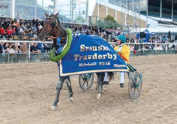 onrad Lugar tränar Toddler som Dorottya Kuinyi sköter om. Shogun D.K. och Jessica Pilerg vann efter tuff ststrid i Derymontén.