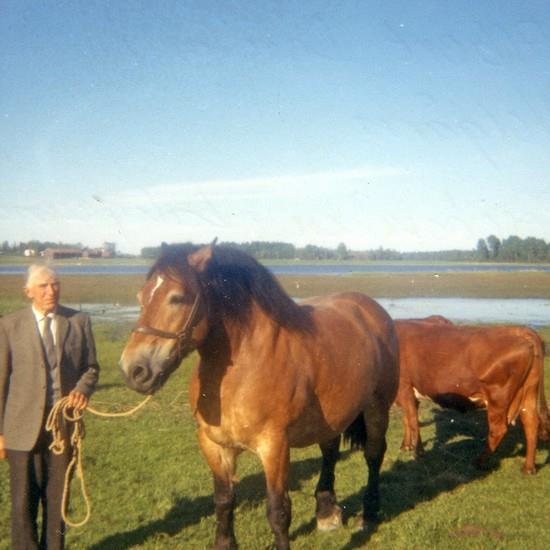 Albert Deréhn, Binäs nr 5,