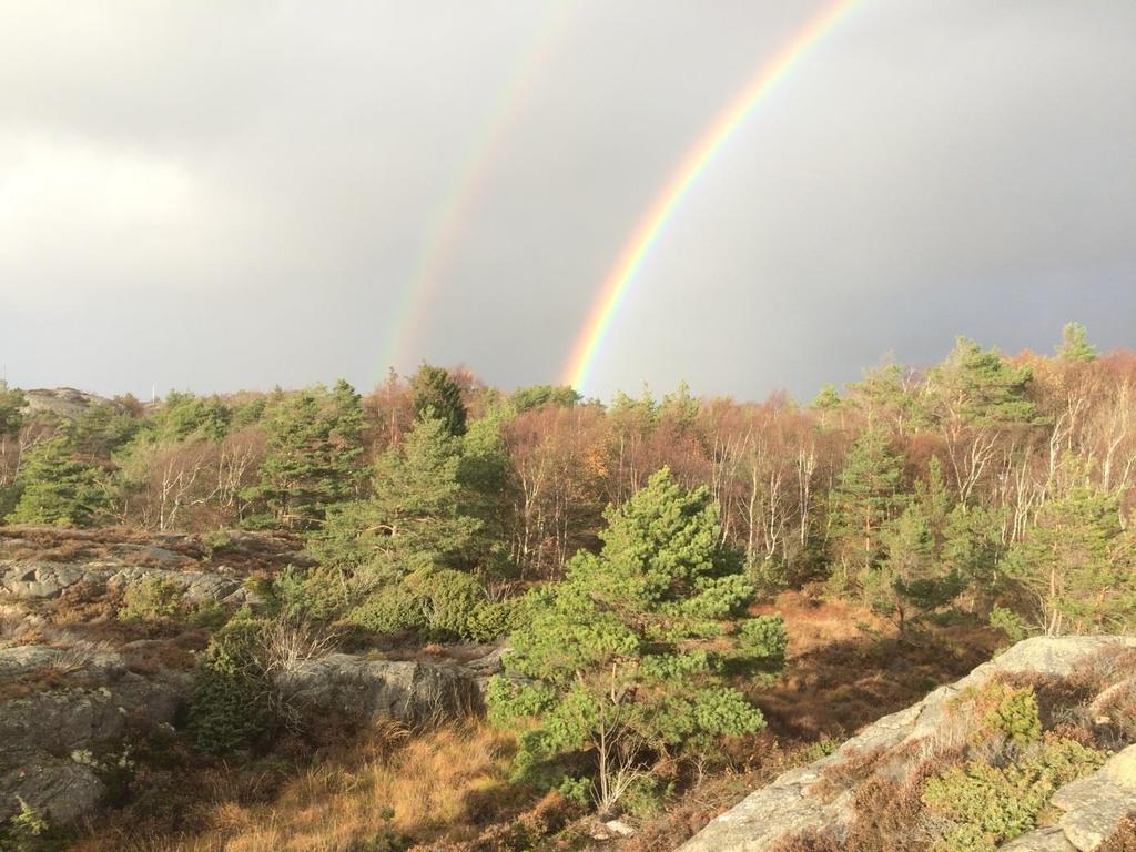 Grap Dagvattenutredning för Evensås 1:6