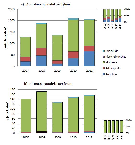 3.3 Abundans och biomassa per fylum (2007 2011) Figur 4. Abundans (antal individ/m²) och biomassa (g våtvikt/m²), uppdelat per fylum, inom klustret REG Askö (n=20), år 2007-2011.