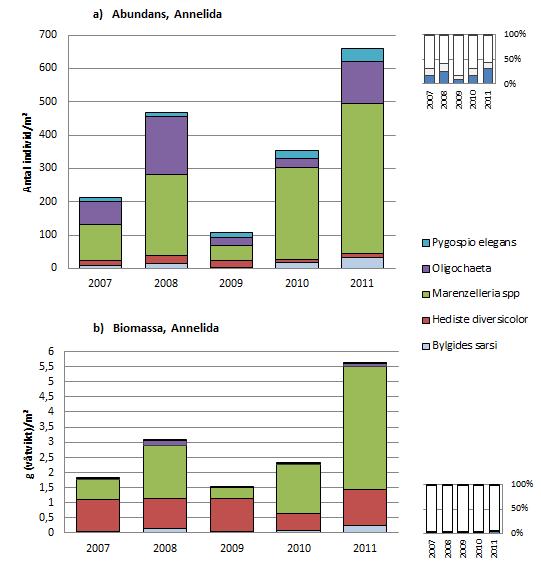 Figur 7. Abundans och biomassa för fylum Annelida (ringmaskar). Inom fylum Annelida är Marenzelleria spp. dominerande taxon i 2011 års undersökning.