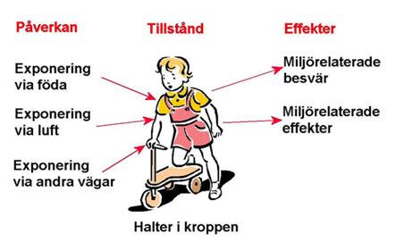 HÄLSORELATERAD MILJÖÖVERVAKNING 10 Hälsorelaterad miljöövervakning 10.