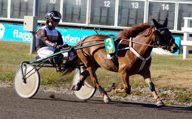 TILL SALU Pejnarve Spira f-13 e Fantom u Tiara Fri. Diplom. Rek 1.59.8 29 starter: 9-5-2.