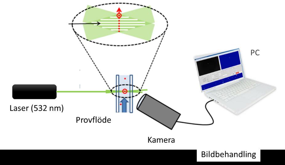 Figur 6.6 Mätprincipen för Acreos videobaserade flödescytometer för online detektion av E. coli.