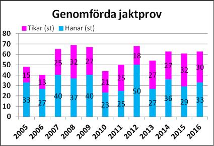 årskull i genomsnitt 22 % en ökning från förra RAS, (beräkningen görs då årskullen uppnått 3 år). Det förekommer dock hundar som är väl veka och med svag jaktlust.