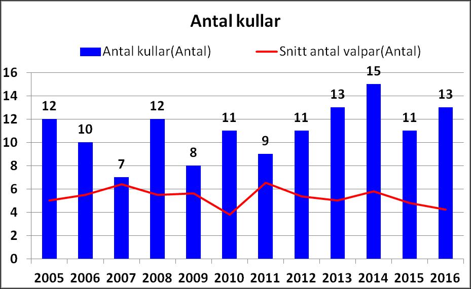 Slutsats: Inavelskoefficienten är långsamt stigande inom rasen Målsättning: Att på årsbasis konsolidera inavelsgraden i kullarna till F=1.