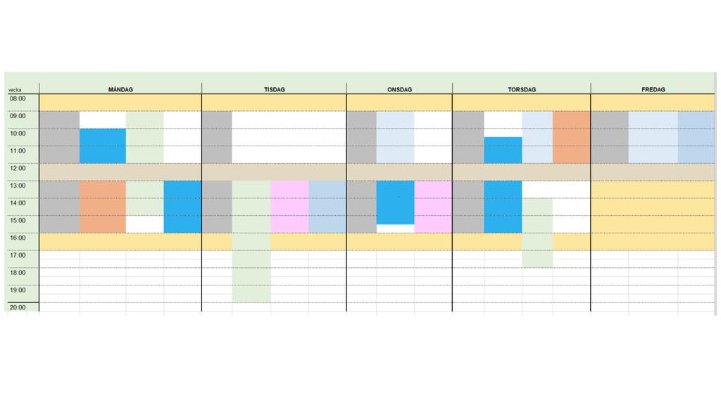 Våra deltagare planerar sina schema tillsammans med oss.