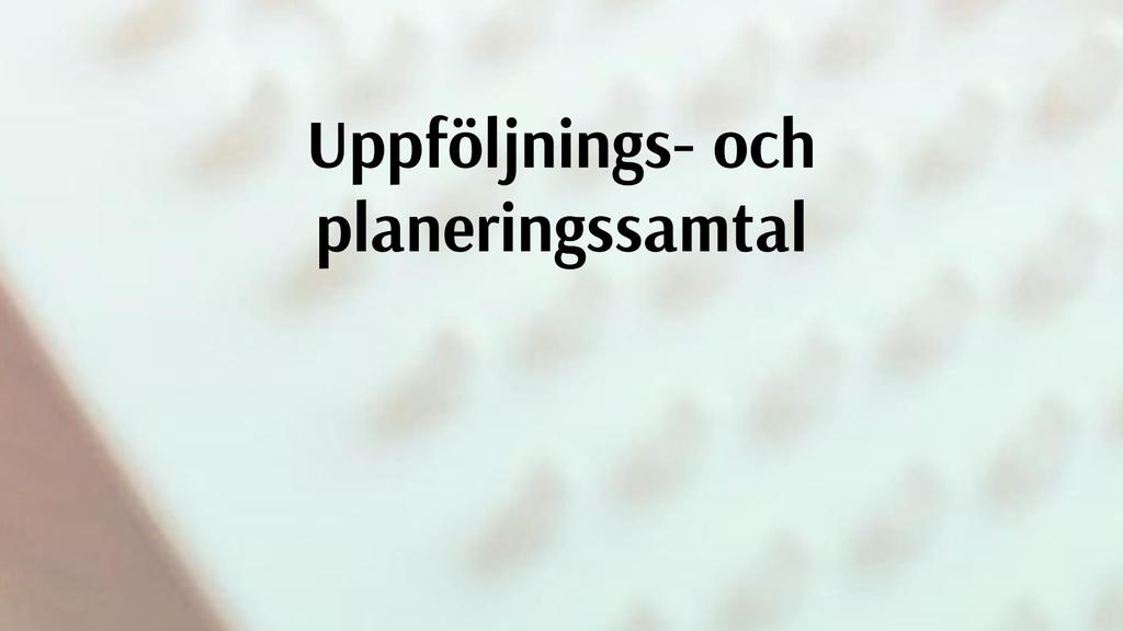 Det som håller samman vår undervisning är att deltagarna är med i planeringen av målen för sitt språklärande.